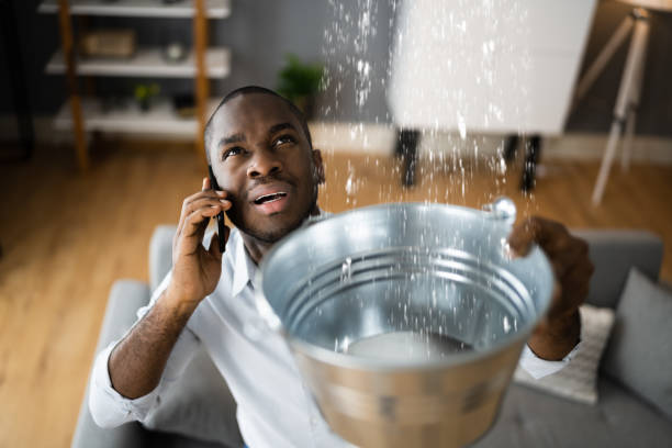 Best Water damage restoration near me  in Saranap, CA