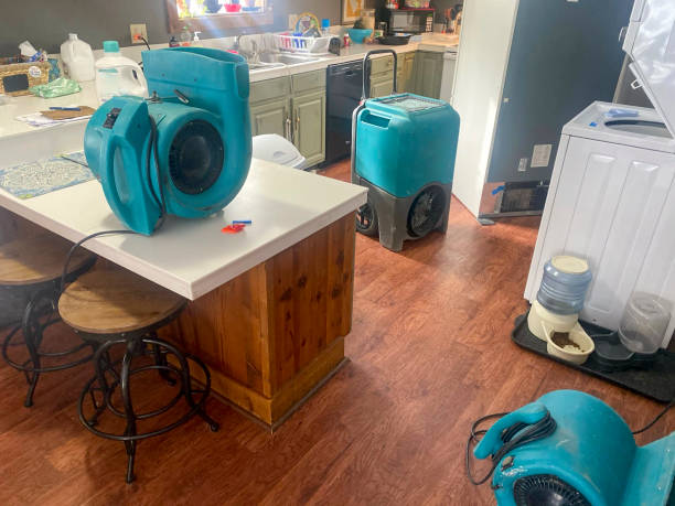 Best Carpet water damage restoration  in Saranap, CA