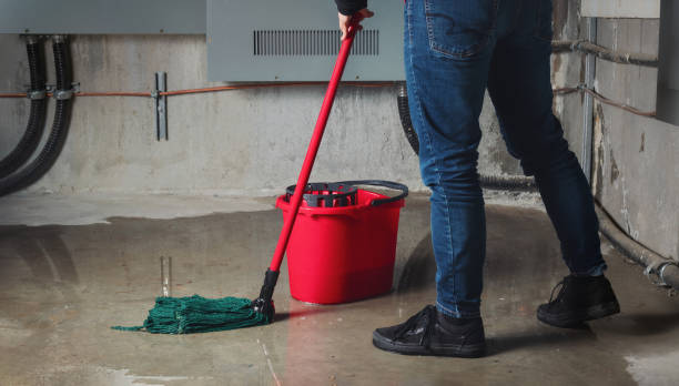 Best Sewage cleanup and water damage restoration  in Saranap, CA