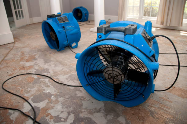 Best 24/7 water damage repair  in Saranap, CA
