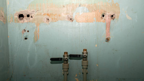 Best Water damage cleanup near me  in Saranap, CA