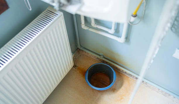 Best Local water damage restoration  in Saranap, CA