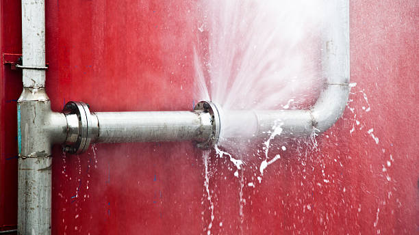 Best Flood damage cleanup  in Saranap, CA